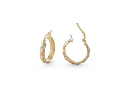 2 Tone Plated | Fashion Earrings